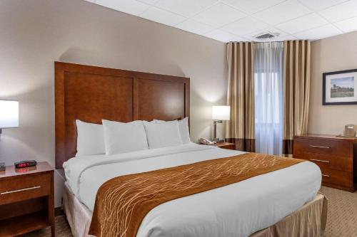 Habitación con cama extragrande y ducha accesible en silla de ruedas - Adaptada para personas con discapacidad - No fumadores del hotel Comfort Inn Syosset. Foto 1