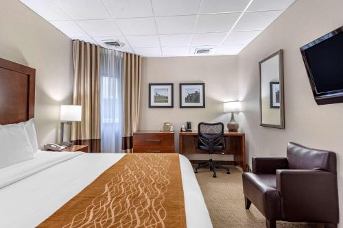 Habitación con cama extragrande y ducha accesible en silla de ruedas - Adaptada para personas con discapacidad - No fumadores del hotel Comfort Inn Syosset. Foto 2