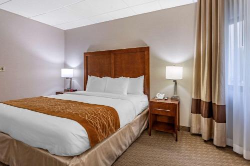 Habitación con cama extragrande y ducha accesible en silla de ruedas - Adaptada para personas con discapacidad - No fumadores del hotel Comfort Inn Syosset. Foto 3