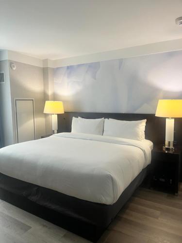 Suite con cama extragrande y ducha accesible en silla de ruedas - Adaptada para personas con movilidad reducida del hotel Four Points by Sheraton New York Downtown. Foto 3