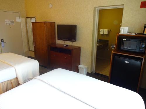 Habitación con 2 camas grandes - Adaptada para personas con discapacidad del hotel Sheridan. Foto 3