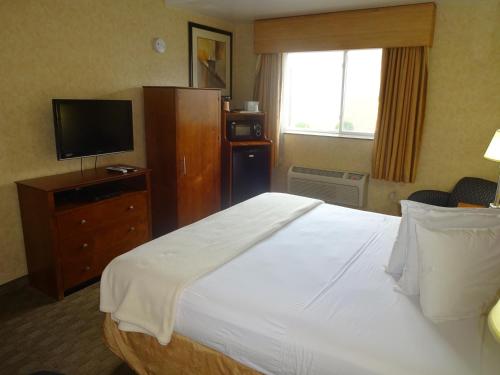 Habitación - No fumadores - Cama grande del hotel Sheridan. Foto 2