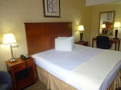 Habitación - No fumadores - Cama grande del hotel Sheridan. Foto 4