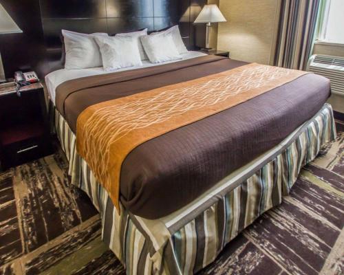 Habitación - 1 cama extragrande - No fumadores del hotel Rodeway Inn Bronx Zoo. Foto 1