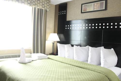 Habitación con cama extragrande - Fumadores del hotel Rodeway Inn Bronx Zoo. Foto 1