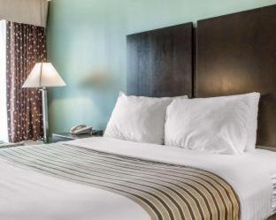 Habitación - 1 cama extragrande - No fumadores del hotel Super 8 by Wyndham Meadowlands. Foto 9