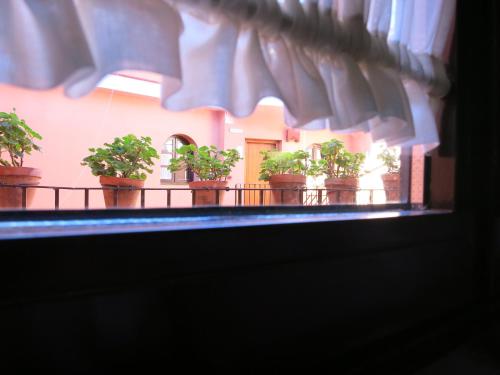 Habitación Familiar del hotel Patio De La Alameda. Foto 6