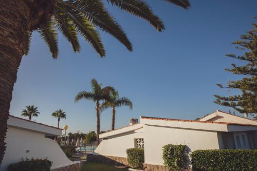 Bungalow con terraza y vistas a la piscina del hotel Vista Verde. Foto 4