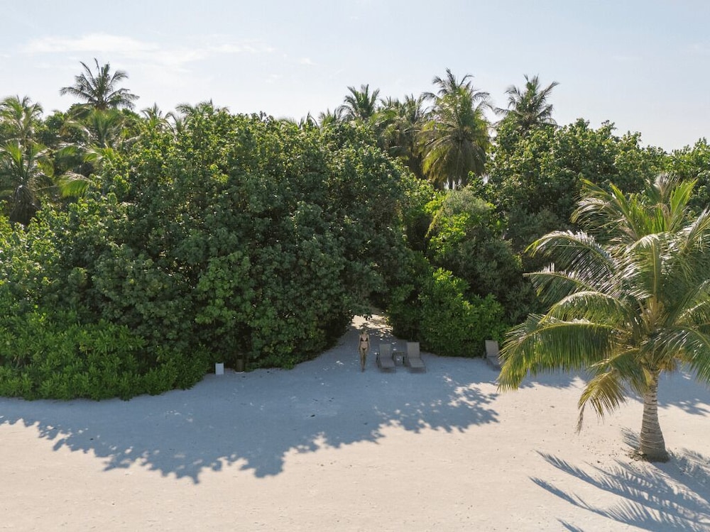Suite frente a la playa con piscina del hotel Cocoon Maldives - All Inclusive. Foto 5