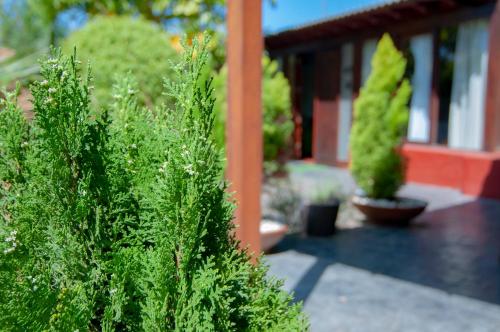 Loft del hotel El Rincón del Huroncillo. Foto 3