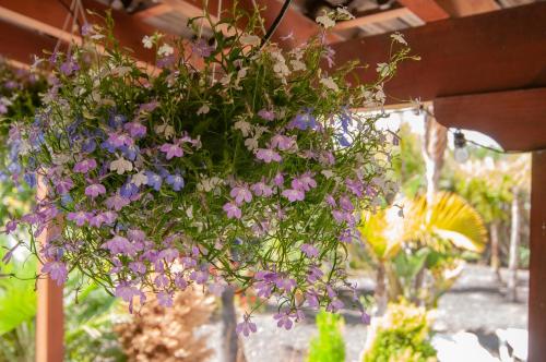 Loft del hotel El Rincón del Huroncillo. Foto 4