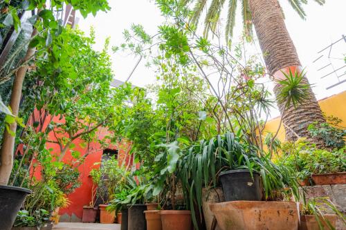 Double or Twin Room del hotel Casa Rural La Asomada del Gato. Foto 16