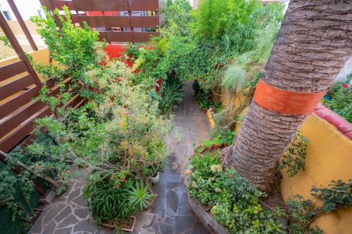 Double or Twin Room del hotel Casa Rural La Asomada del Gato. Foto 5