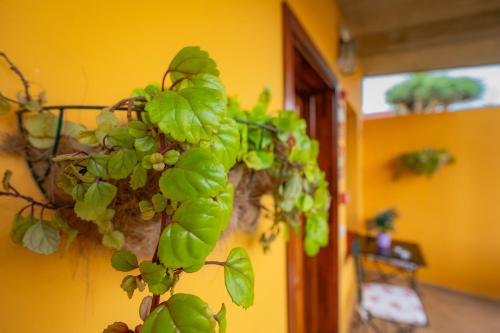 Double or Twin Room del hotel Casa Rural La Asomada del Gato. Foto 7