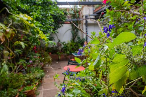 Double or Twin Room del hotel Casa Rural La Asomada del Gato. Foto 9