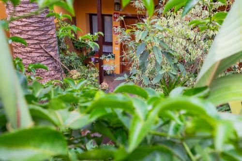 Double room del hotel Casa Rural La Asomada del Gato. Foto 3