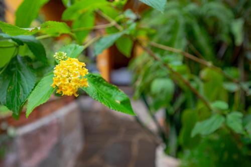 Double room del hotel Casa Rural La Asomada del Gato. Foto 25