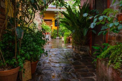 Habitación Doble del hotel Casa Rural La Asomada del Gato. Foto 19