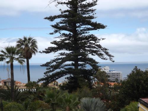 Trabaja y desconecta: Apartamento con bañera de hidromasaje y jardín del hotel The Blue Corner. Foto 35