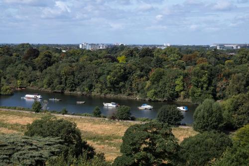 Suite Lujo Vista Rio 1 Cama doble del hotel The Petersham. Foto 2