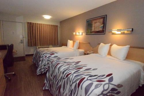 Habitación Deluxe - 2 camas dobles - No fumadores del hotel Red Roof Inn Buffalo Hamburg. Foto 1