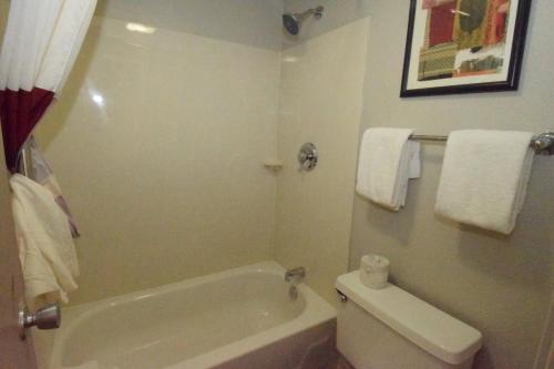 Habitación Superior con cama extragrande - No fumadores del hotel Red Roof Inn Buffalo Hamburg. Foto 8