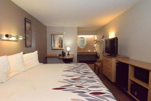 Habitación Superior adaptada para personas con movilidad reducida - 1 cama extragrande - No fumadores del hotel Red Roof Inn Buffalo Hamburg