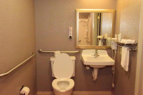 Habitación Superior adaptada para personas con movilidad reducida - 1 cama extragrande - No fumadores del hotel Red Roof Inn Buffalo Hamburg. Foto 9