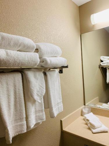 Suite de 1 dormitorio con 2 camas grandes - No fumadores del hotel Country Inn & Suites by Radisson, Ithaca, NY