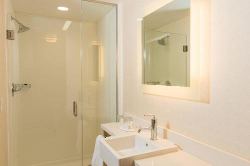 Suite con cama grande del hotel Springhill Suites Buffalo Airport. Foto 1