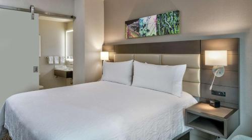 Habitación con ducha a ras de suelo, adaptada para personas de movilidad reducida - Cama extragrande del hotel Hilton Garden Inn Financial Center/Manhattan