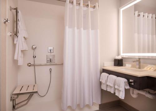 Habitación con cama extragrande y ducha a ras de suelo - Adaptada para personas de movilidad reducida y con discapacidad auditiva del hotel Hilton Garden Inn Financial Center/Manhattan. Foto 3