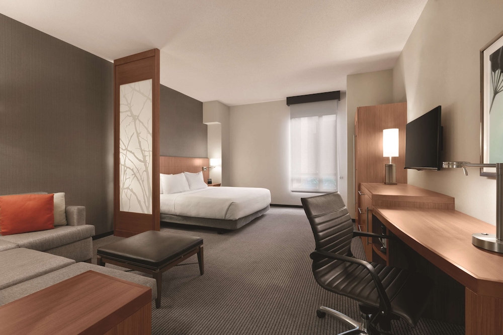 Habitación accesible con cama king size/ducha sin barreras (con sofá - cama) del hotel Hyatt Place Baltimore Inner Harbor