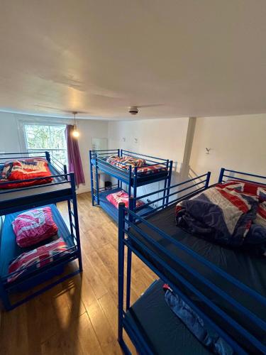 Cama en habitación compartida mixta de 6 camas del hotel Saint James Backpackers. Foto 1