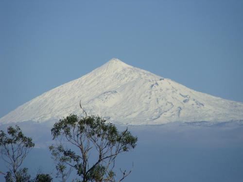 Casa del hotel Vivienda Vacacional Jardin la Punta. Foto 3