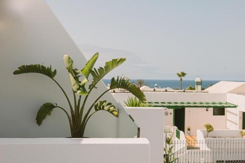 Apartamento de 1 dormitorio del hotel Princesa Guayadeque. Foto 1