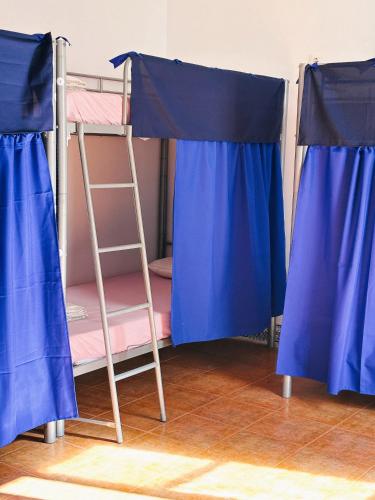 Cama en habitación compartida femenina de 8 camas del hotel Rio. Foto 5