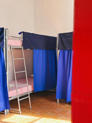 Cama en habitación compartida femenina de 8 camas del hotel Rio. Foto 7