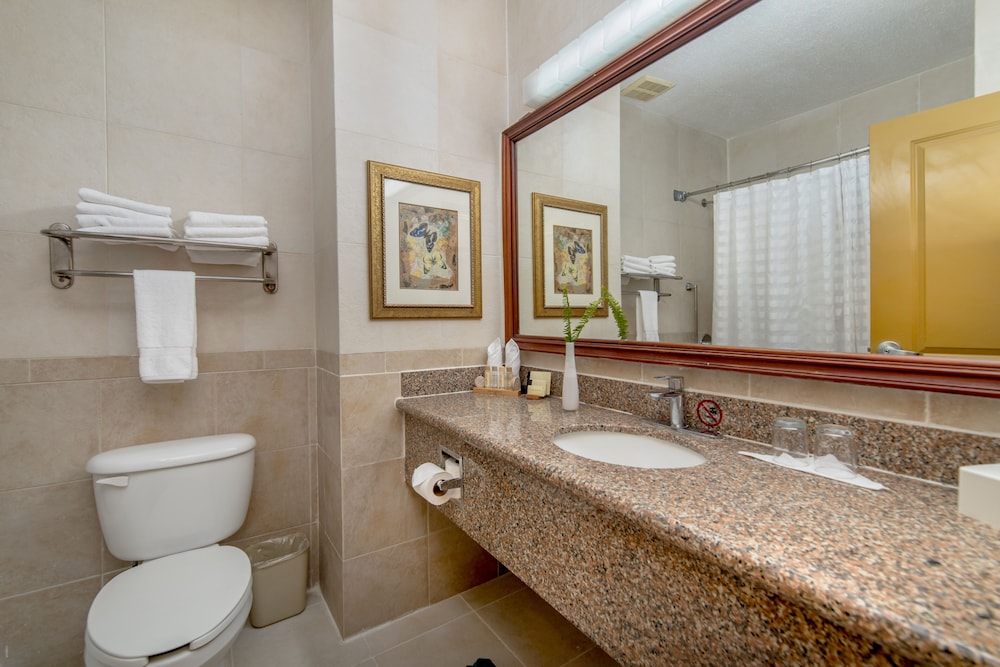 Suite, Garden View del hotel Hodelpa Garden Suites Golf and Convention Center. Foto 5