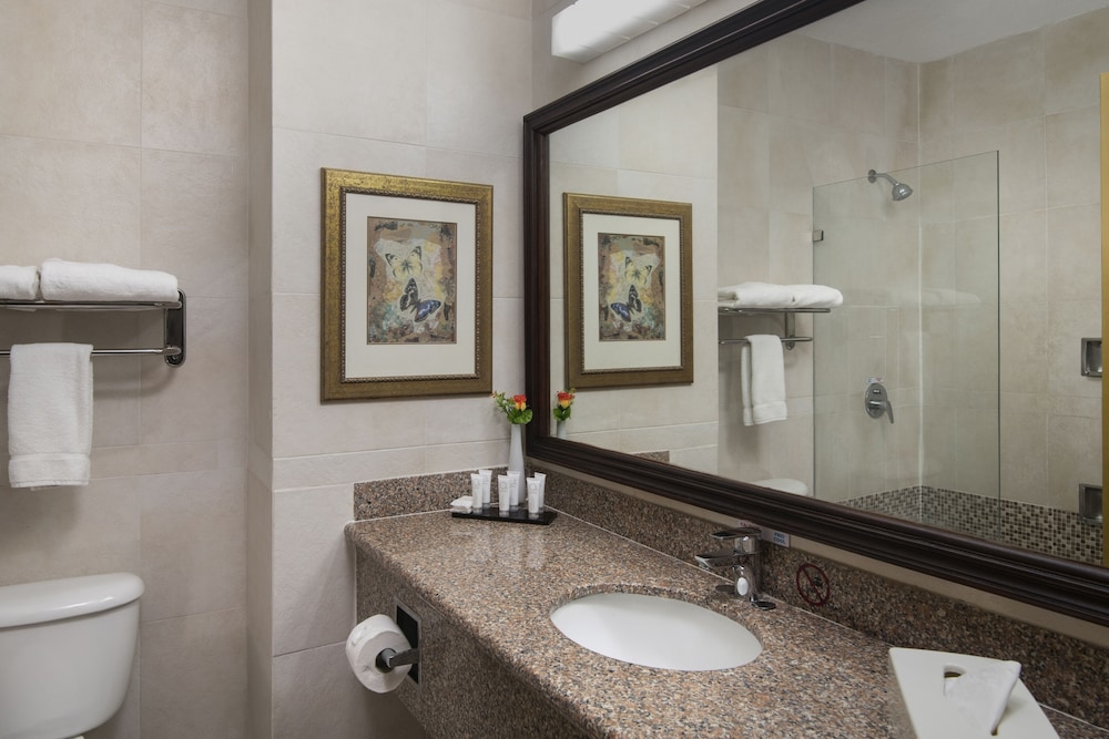 Suite Pool View del hotel Hodelpa Garden Suites Golf and Convention Center. Foto 6