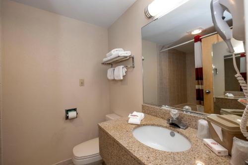 Suite King with Spa Bath Smoke Free del hotel Red Roof Inn Clifton Park. Foto 5