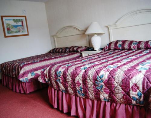 Habitación Doble adaptada para personas con movilidad reducida del hotel Meadow Court Inn - Ithaca. Foto 3