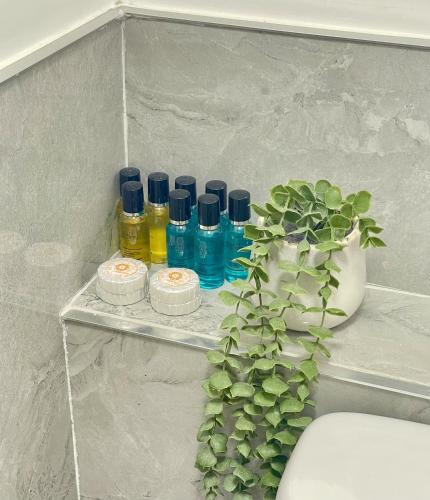 Habitación Executive - 2 camas grandes del hotel Griffin House. Foto 2