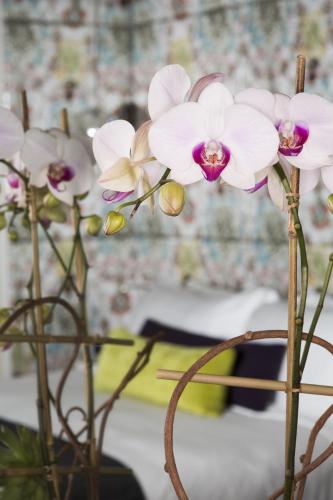 Habitación Gold - 1 cama extragrande del hotel Dream Midtown. Foto 1