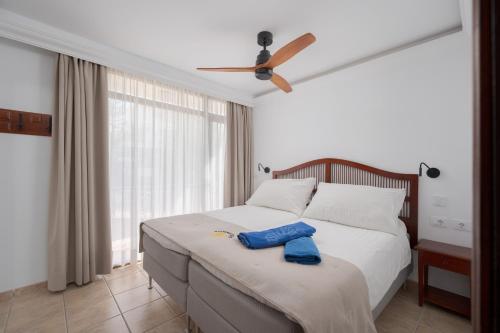 Apartamento de 1 dormitorio con balcón o terraza del hotel Sunsuites Carolina and Collection. Foto 3