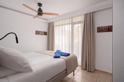 Apartamento de 1 dormitorio con balcón o terraza del hotel Sunsuites Carolina and Collection. Foto 4