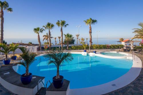 Apartamento de 1 dormitorio con balcón o terraza del hotel Sunsuites Carolina and Collection. Foto 2