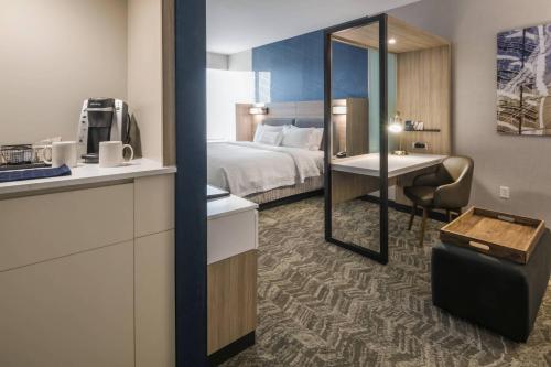 Estudio Superior con cama extragrande y sofá cama del hotel Springhill Suites By Marriott Fishkill