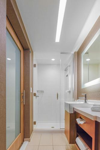 Estudio Superior con cama extragrande y sofá cama del hotel Springhill Suites By Marriott Fishkill. Foto 8