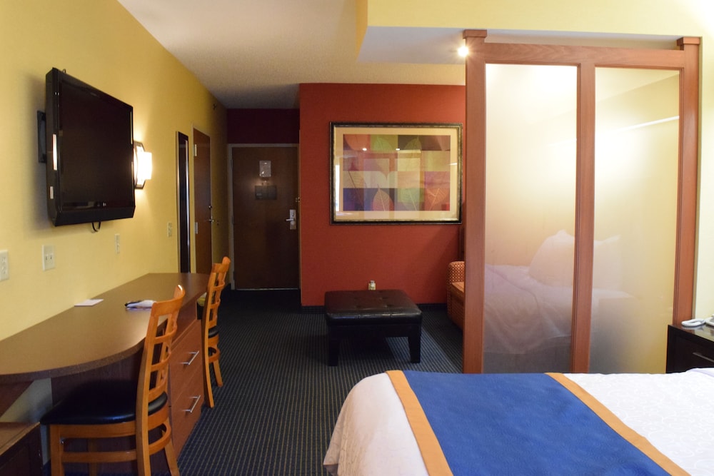 Suite junior, 1 cama de matrimonio con sofá cama del hotel Inn At The Finger Lakes. Foto 3